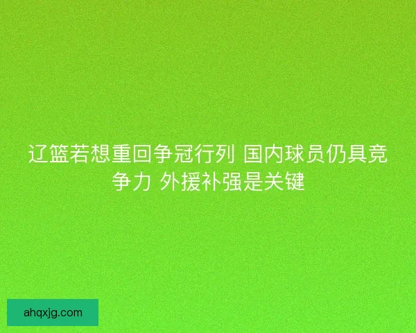 辽篮若想重回争冠行列 国内球员仍具竞争力 外援补强是关键