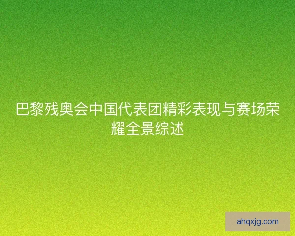 巴黎残奥会中国代表团精彩表现与赛场荣耀全景综述